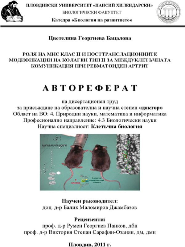 Роля на МНС клас II и посттранслационните модификации на колаген тип II за междуклетъчната комуникация при ревматоиден артрит