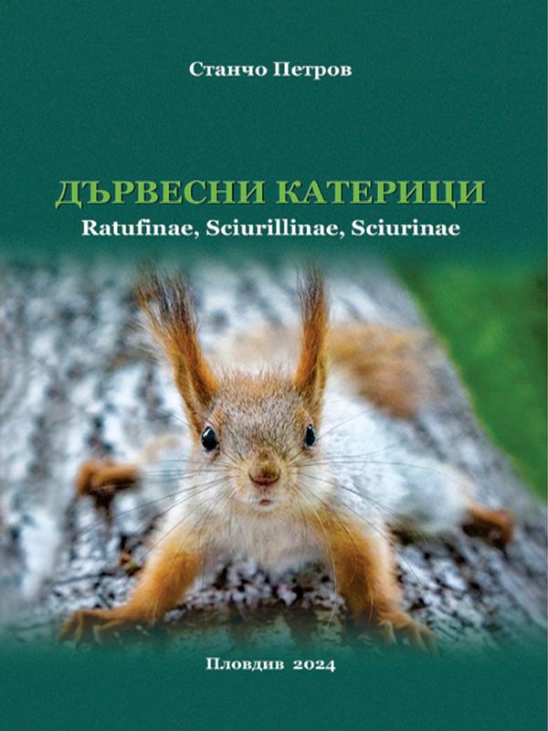 Дървесни катерици (Ratufinae, Scirillinae, Scirinae)