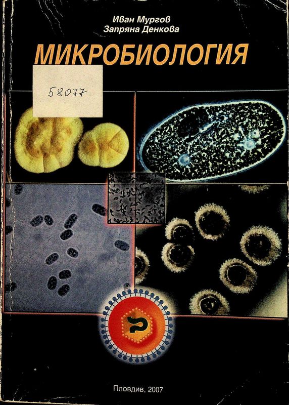 Молекулярна биология