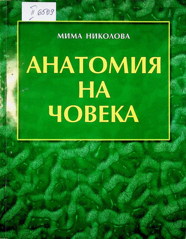 Анатомия на човека