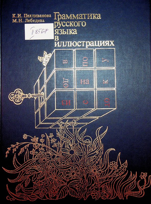 Грамматика русского языка в иллюстрациях