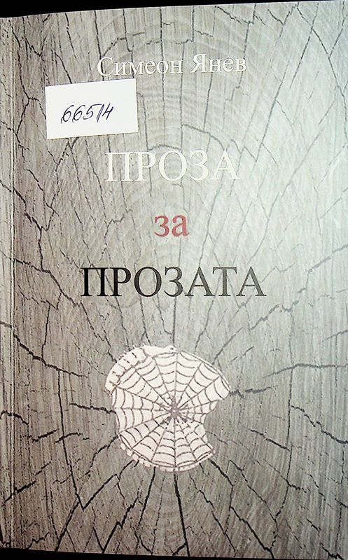 Проза за прозата
