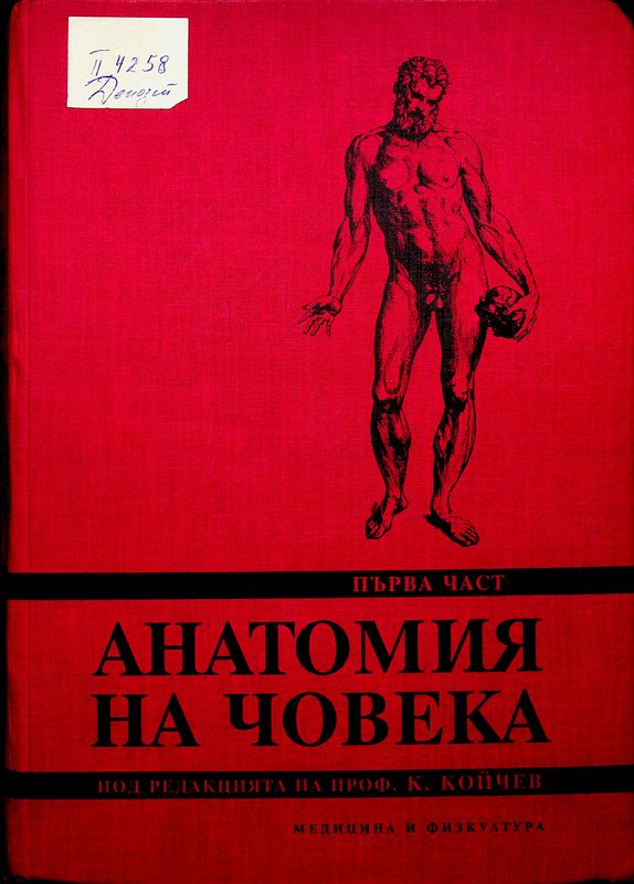Анатомия на човека