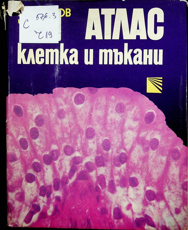 Атлас - клетка и тъкани