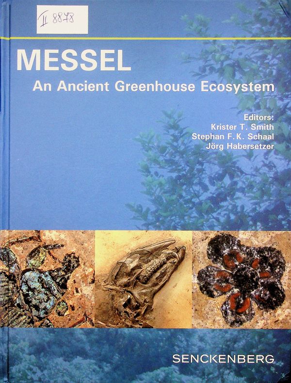 Messel - An Ancient Greenhouse