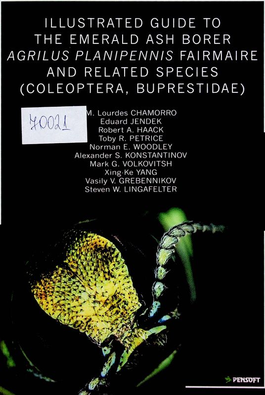 Illustrated guide to the emerald ash borer Agrilus planipennis Fairmaire and related species (Coleoptera, Buprestidae)