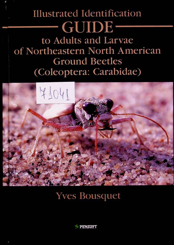 Illustrated Identification Guide to Adults and Larvae of Northeastern North American Ground Beetles (Coleoptera: Carabidae)