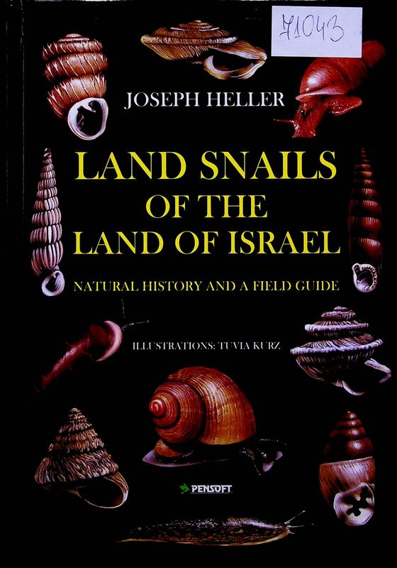 Land Snails of the Land of Israel
