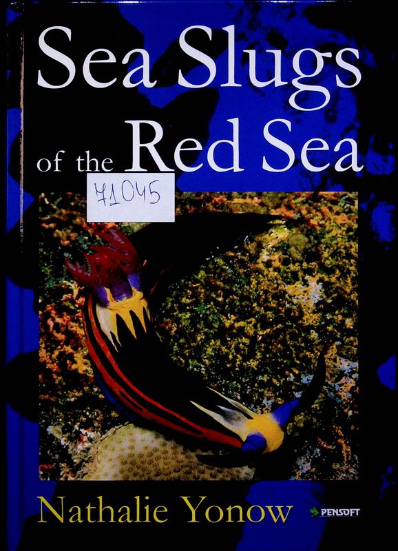 Sea Slugs of the Red Sea
