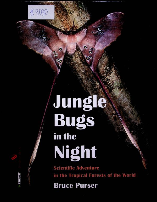 Jungle Bugs in the Night