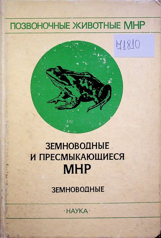 Земноводные и пресмыкающиеся МНР. Общие вопросы. Земноводные
