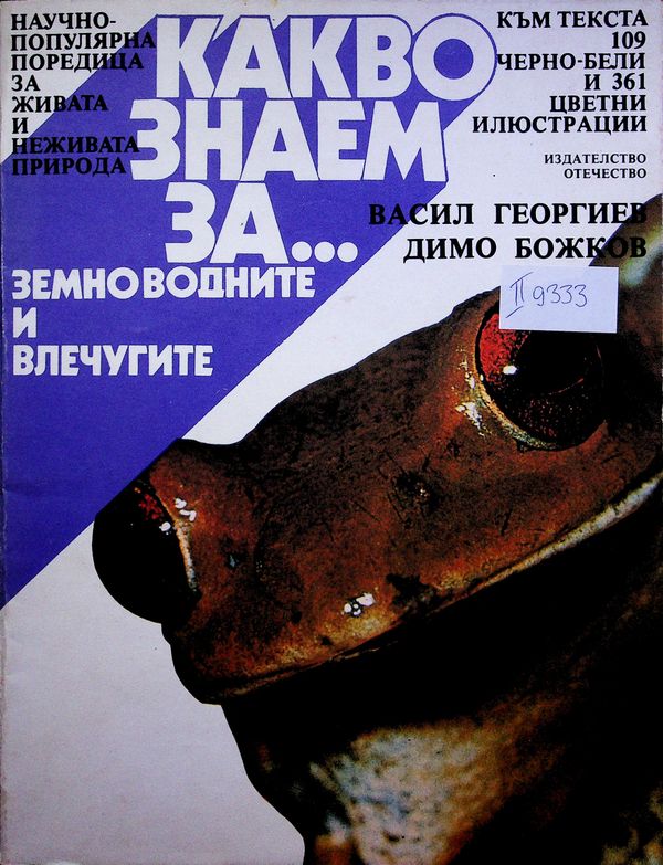 Какво знаем за земноводните и влечугите