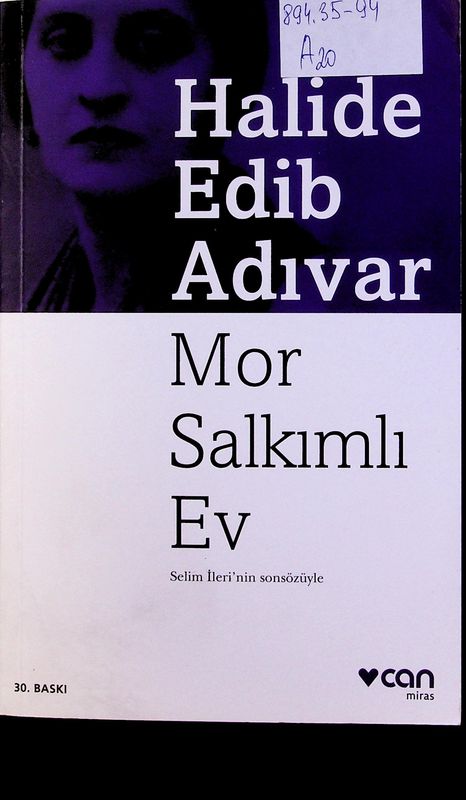 Mor Salkimli Ev