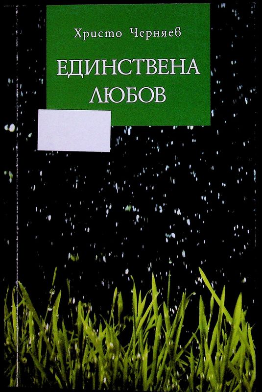 Единствена любов